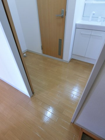 第二双葉ハイツ　A棟の洗面所