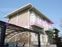 カメリアＡの画像