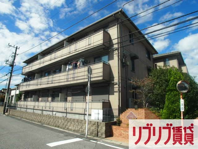 セジュール山の根の外観