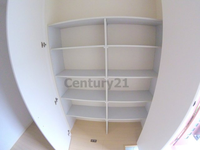 【その他】 | ベヌスタ丸橋