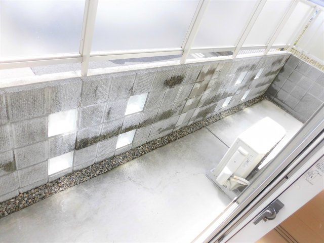 アムルーズBの庭