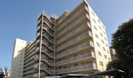 池上パークファミリア1号棟の画像