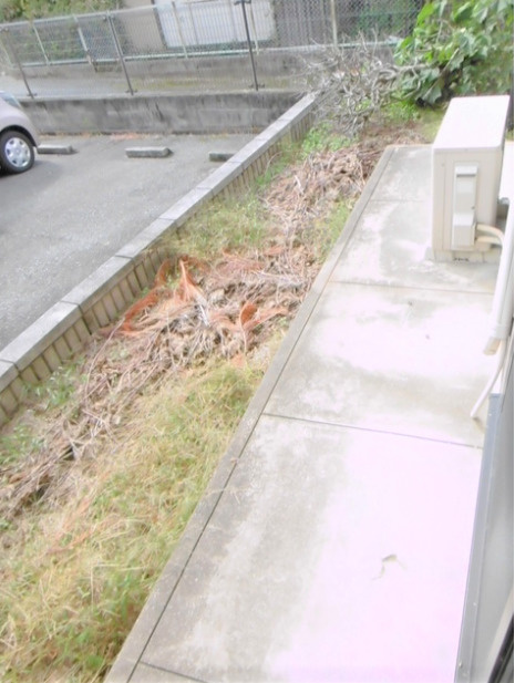 アフローテ山川の庭|お庭が付いています