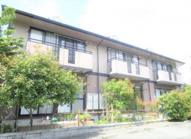 アフローテ山川の画像