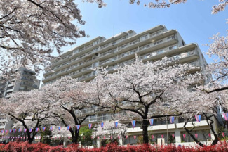 【外観】 | 物件のお問い合わせは、 ０３－５４５６－５４１５までお気軽にどうぞ！