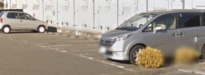 【駐車場】 | ダイナ