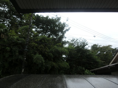 【展望】 | べラ ヴィスタ