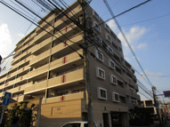 アンピール長尾の画像