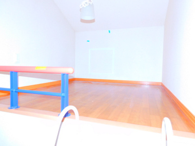 【その他】 | シルフハイム