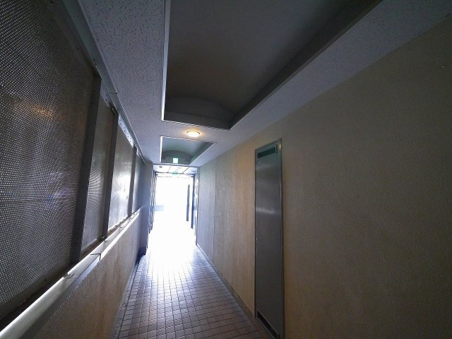 アルファプレイス