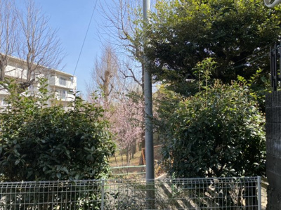 【展望】 | サンヒルズ豊島園