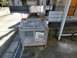 【エントランス】 | 敷地内ごみ置き場でごみ出しもらくらく～♪忙しい社会人さんや学生さんにもうってつけ！