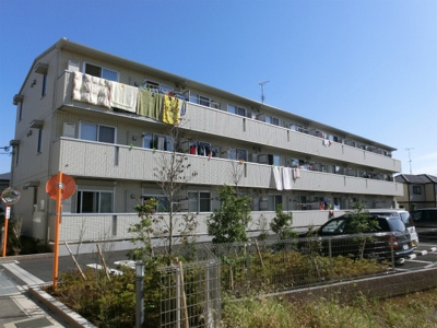 【外観】 | フォレストパーク | フォレストパーク　軽量鉄骨造３階建