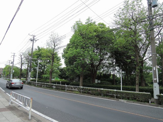 【周辺】 | 前面道路