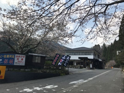 【周辺】 | 大津市荒川　自然に囲まれた戸建て | 物件周辺、2017年3月撮影の桜の風景