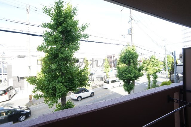 カーサフェリスの展望