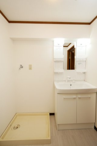 グリーンゼファーの独立洗面台|グリーンゼファー302号