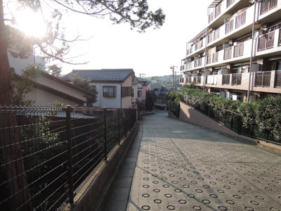【周辺】 | リーベスト宮前平 | 前面道路