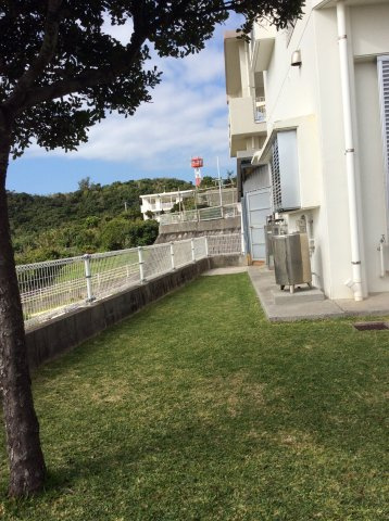 【庭】 | 渡橋名貸家