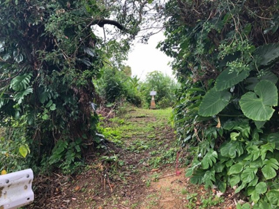  | 沖縄市池原1丁目（104.66坪）