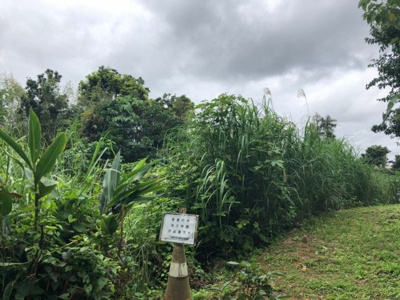  | 沖縄市池原1丁目（104.66坪）