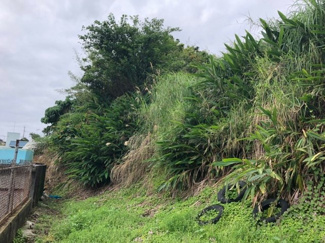  | 沖縄市池原1丁目（104.66坪）