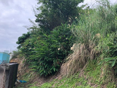  | 沖縄市池原1丁目（104.66坪）