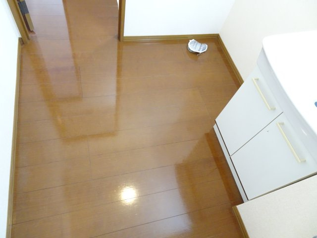 セジュール直江Aの洗面所