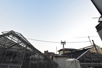 【展望】 | エルドラビリティ