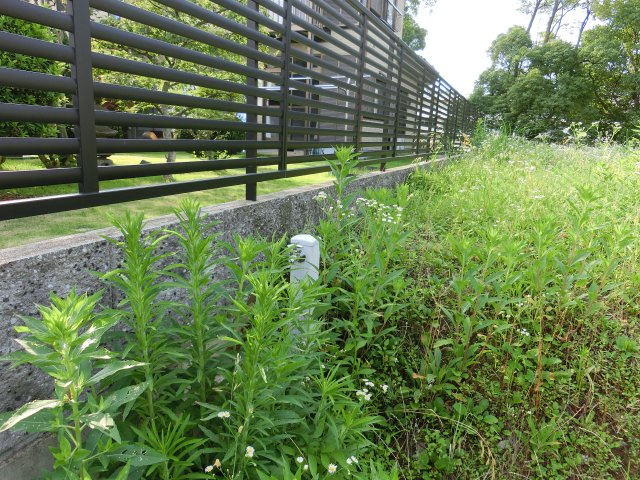 八千代市村上　土地　東葉高速線「村上」駅　徒歩約５分の好立地の外観|仮設の立水栓