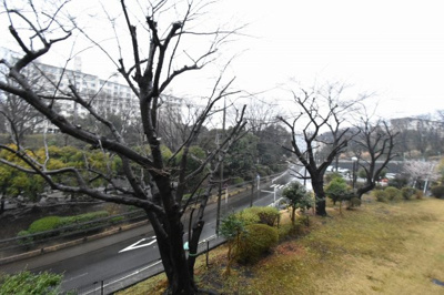 【展望】 | 竹山団地1609号棟 | 9階部分からの眺望♪