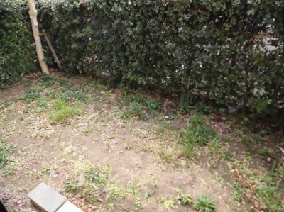 【バルコニー】 | ディアス池田 B棟