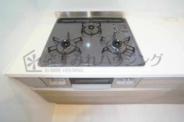 ニューレセンテカントリーのキッチン