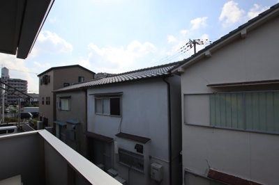 【展望】 | クリサンテーモ