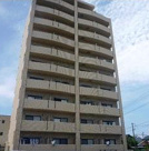 プレゼンスの画像