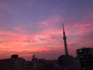 【展望】