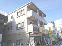 桜の木ヨシノの画像