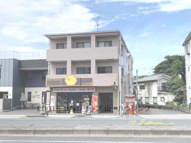 桜の木ヨシノの画像
