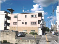 桜の木ヨシノの画像