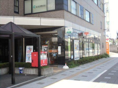 【周辺】 | 桜の木ヨシノ