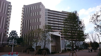 【周辺】 | 駅まで続く緑の道