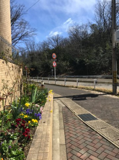  | 【Dグランセ東山元町】仲介手数料無料！リフォーム済み！