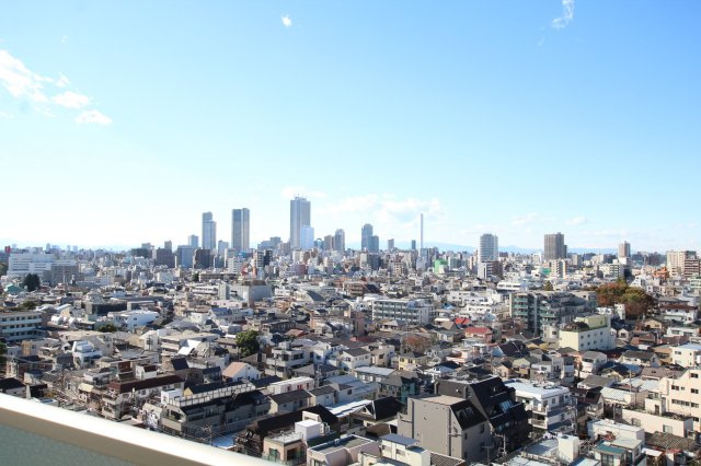 【展望】