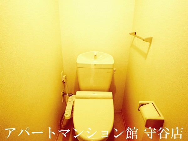 ベル・アジュールⅡAのトイレ