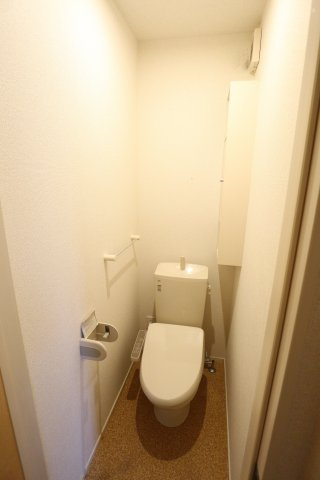 リバーヴィレッジIのトイレ