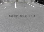 アリス京町壱番館の駐車場|駐車場があります
