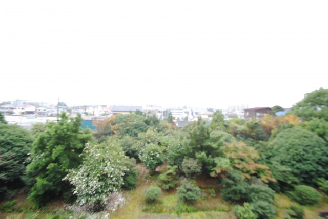 ステラコート参番館の展望