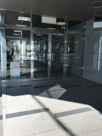 ヤダビル