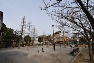 【周辺】 | 上池台三丁目公園