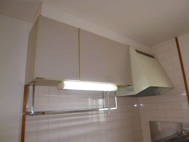 ニューシティエクシードＣのキッチン|収納